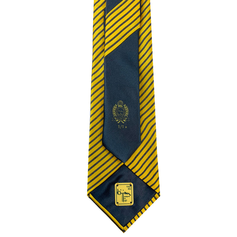 Bijan Pure Silk Tie Set