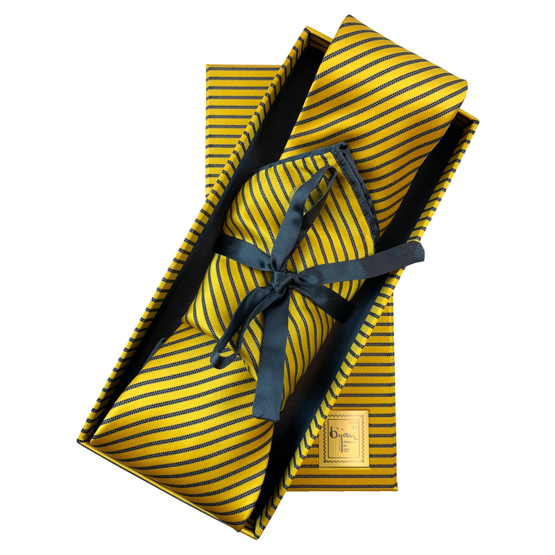 Bijan Pure Silk Tie Set