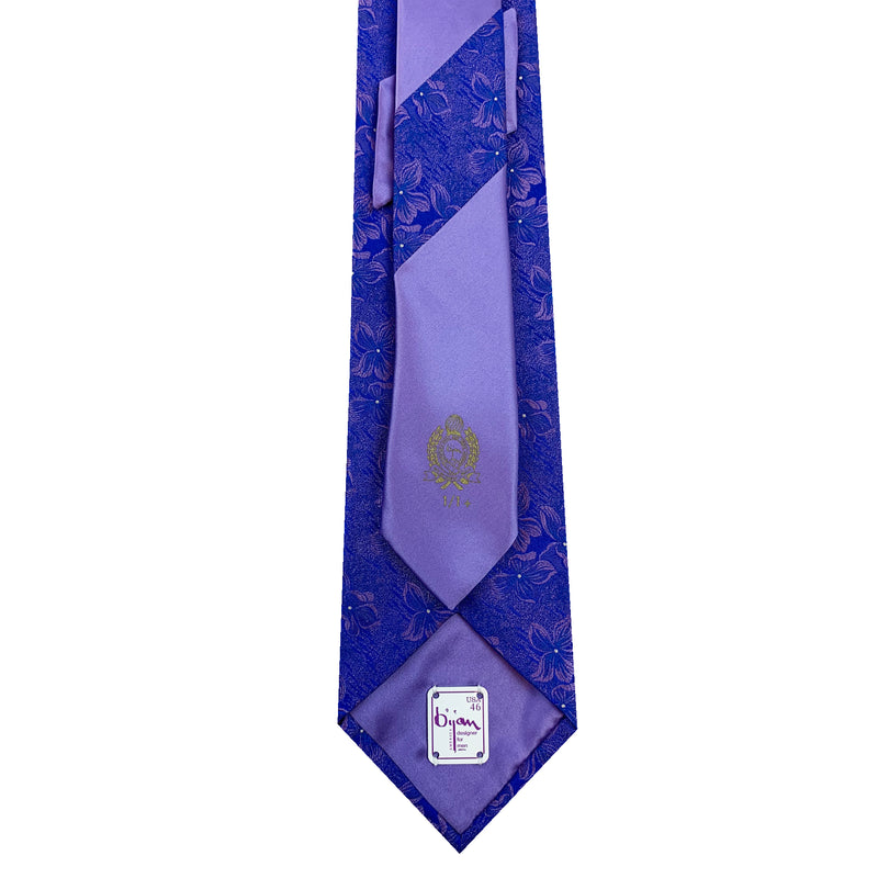 Bijan Pure Silk Tie Set
