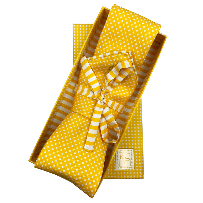 Bijan Pure Silk Tie Set