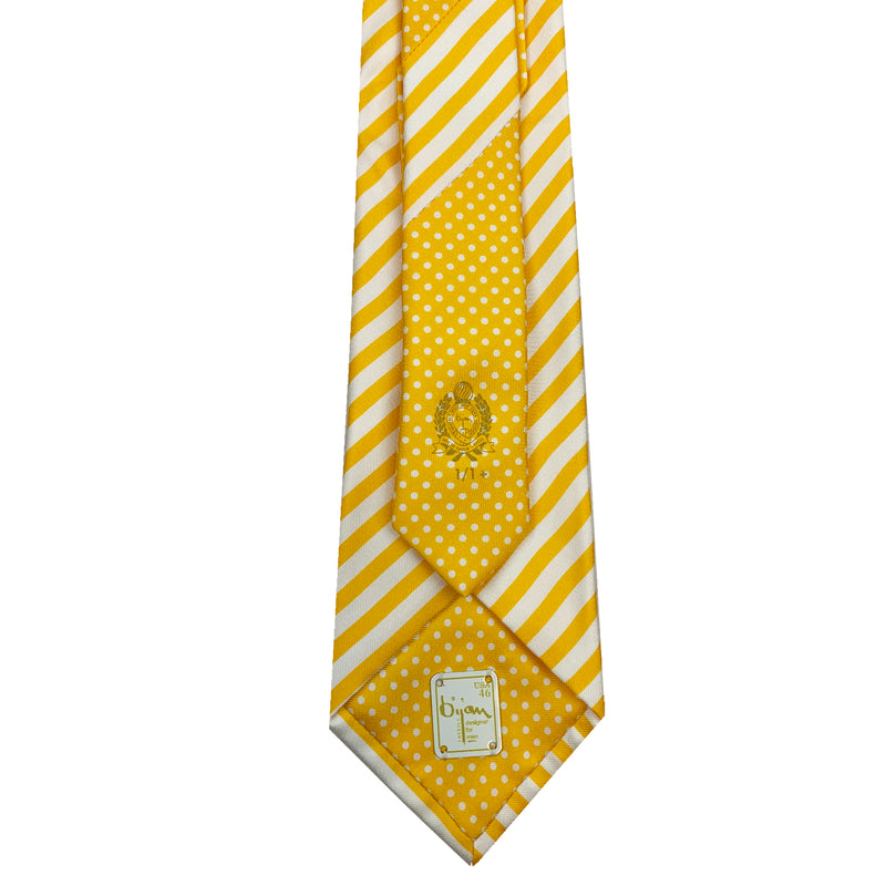 Bijan Pure Silk Tie Set