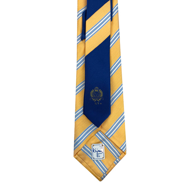 Bijan Pure Silk Tie Set