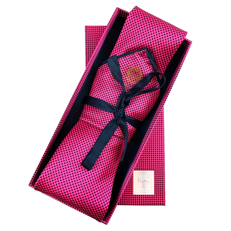 Bijan Pink and Navy Pure Silk Tie Set
