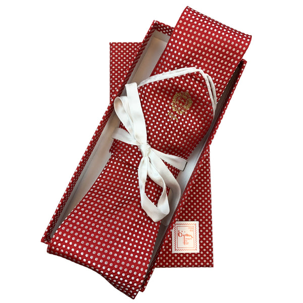 Bijan Pure Silk Tie Set