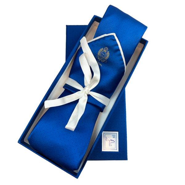 Bijan Blue Pure Silk Tie Set