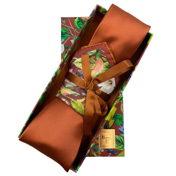 Bijan Pure Silk Tie Set