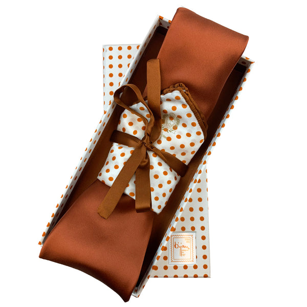 Bijan Pure Silk Tie Set