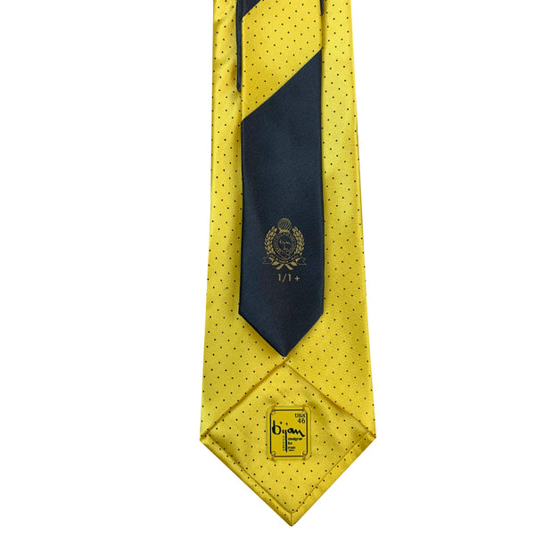 Bijan Pure Silk Tie Set