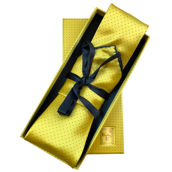 Bijan Pure Silk Tie Set