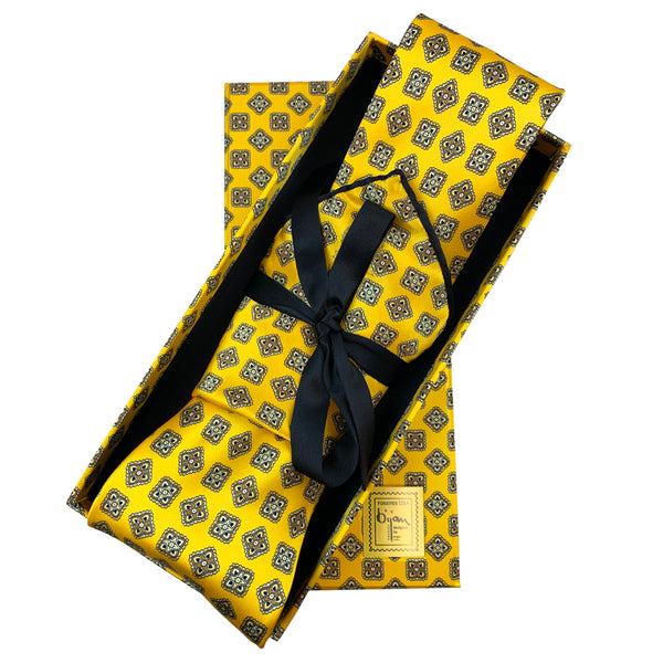 Bijan Pure Silk Tie Set