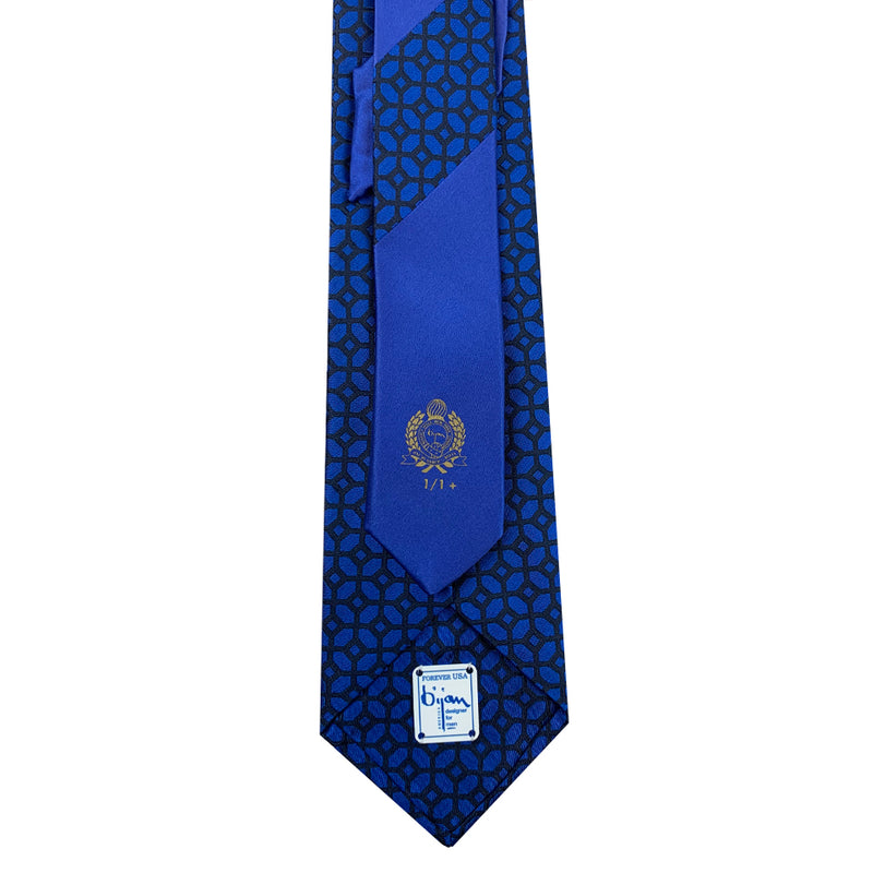 Bijan Pure Silk Tie Set