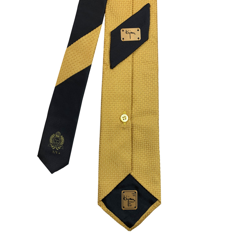 Bijan Pure Silk Tie Set