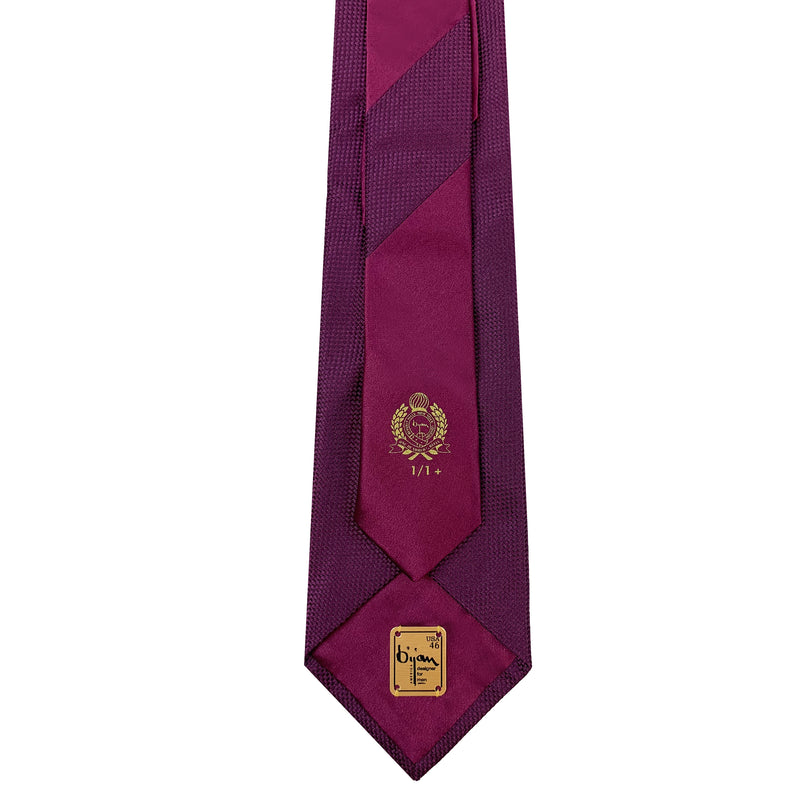 Bijan Pure Silk Tie Set