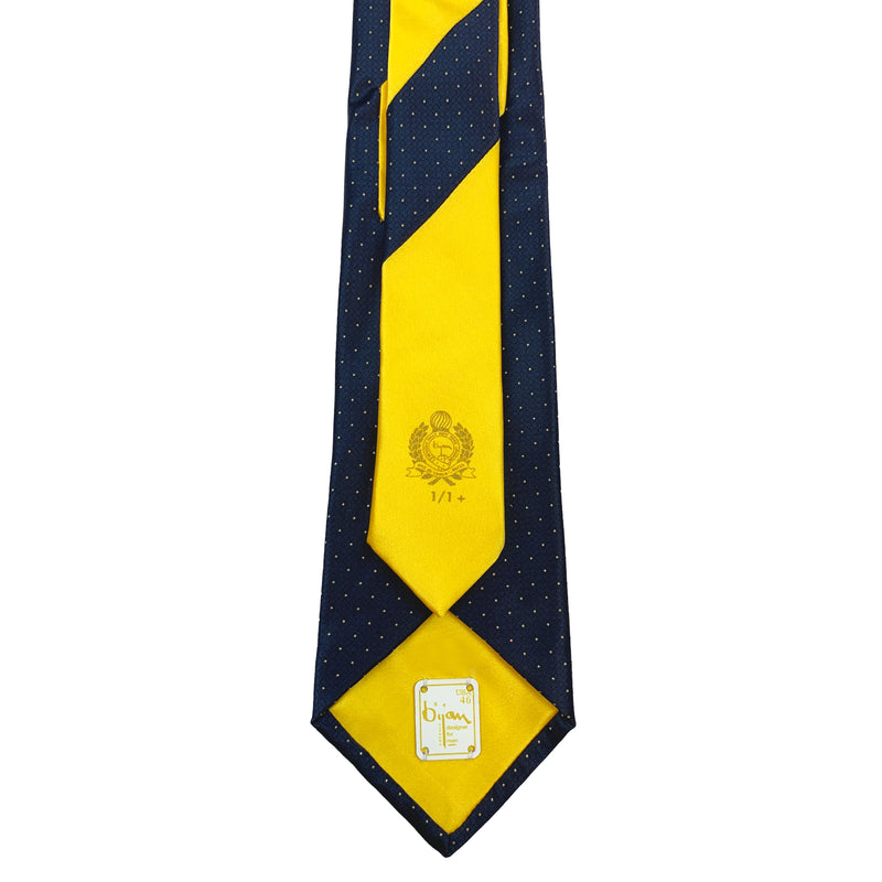 Bijan Pure Silk Tie Set
