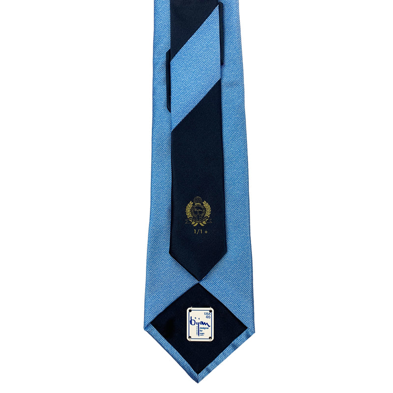 Bijan Pure Silk Tie Set