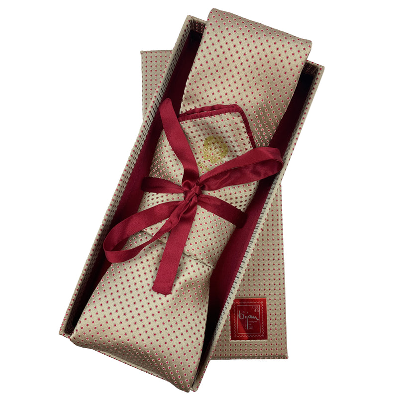 Bijan Pure Silk Tie Set