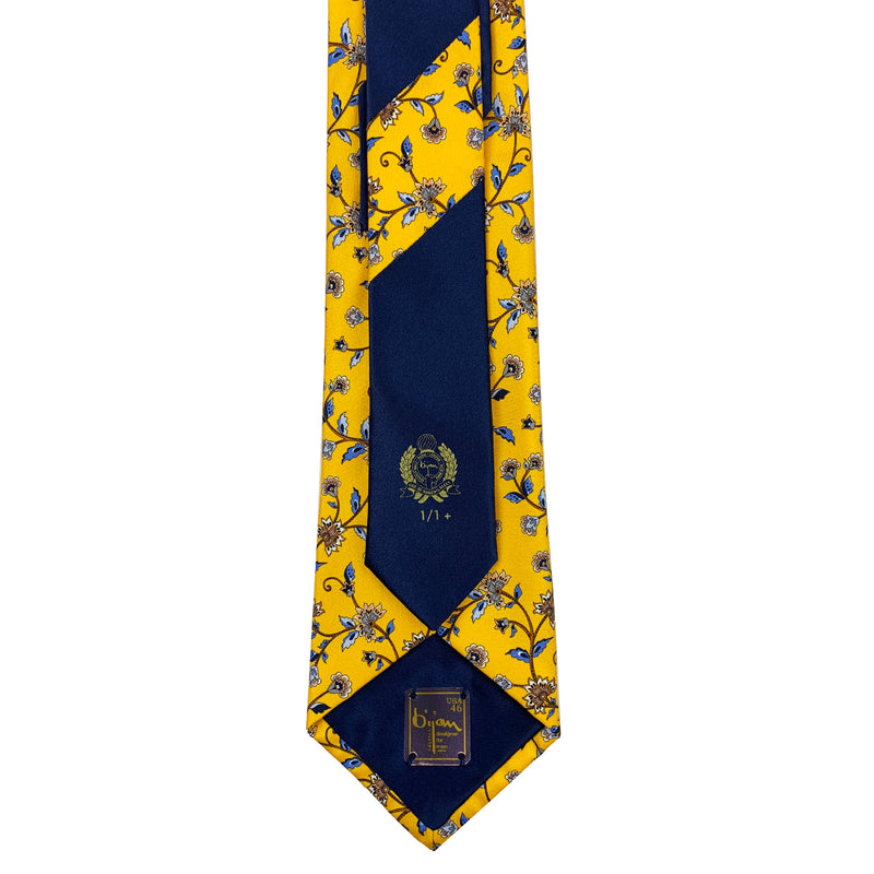Bijan Pure Silk Tie Set
