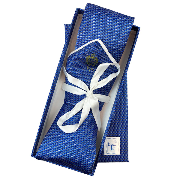 Bijan Pure Silk Tie Set