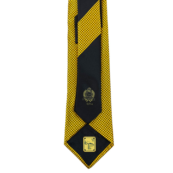 Bijan Pure Silk Tie Set