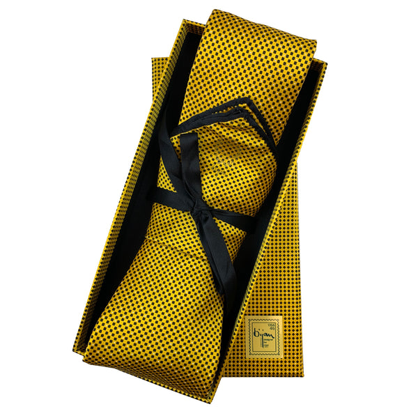 Bijan Pure Silk Tie Set