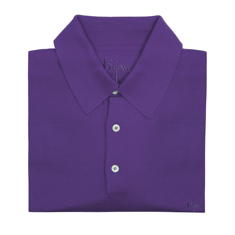 Purple Long Sleeve Cashmere and Silk Polo Shirt