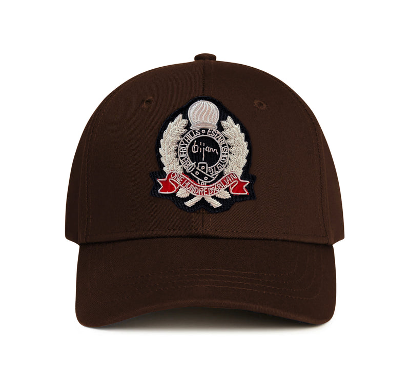 Brown with Silver Crest Cap